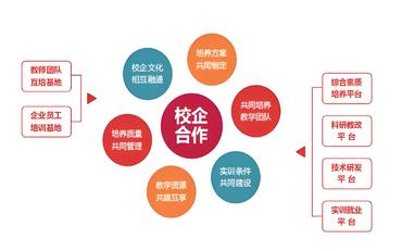 山东高校采用在线实习管理平台提升实习教学质量