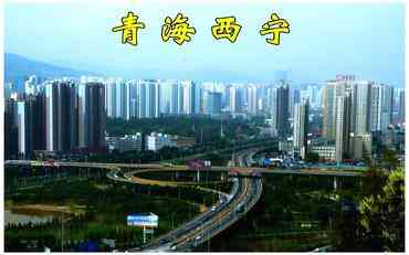 智慧校园教职工平台如何助力西宁教育提质增效？
