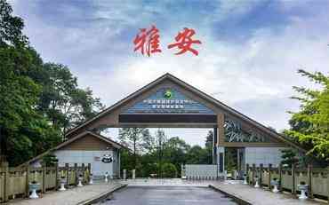 雅安智慧校园大数据平台：让校园信息化转型更接地气?